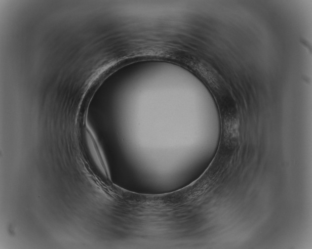 X0000097880628200803281224