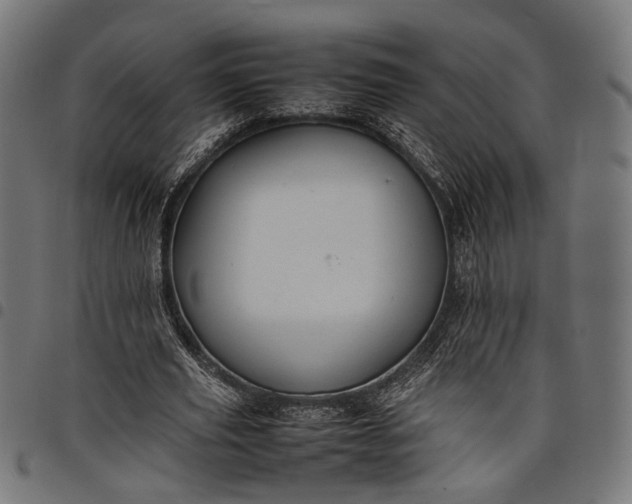 X0000097880629200803281224