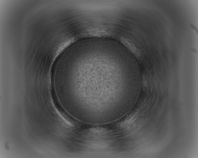 X0000097880630200803281224