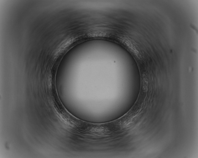 X0000097880631200803281224