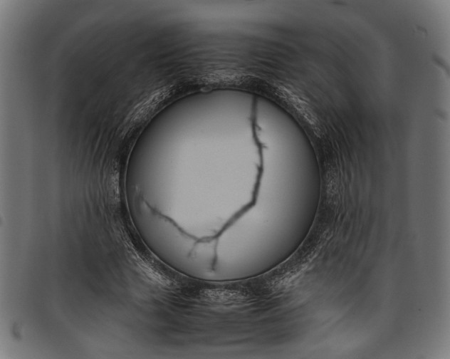 X0000097880633200803281224