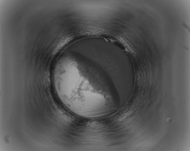 X0000097880634200803281224