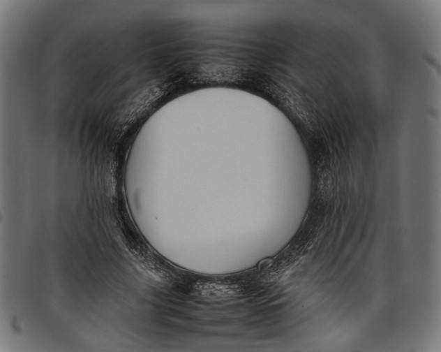 X0000097880635200803281224