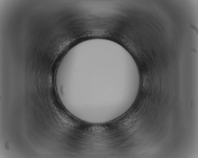 X0000097880636200803281224