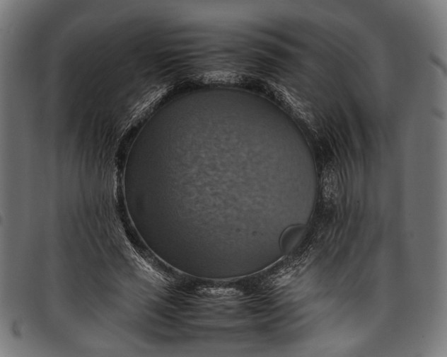 X0000097880637200803281224