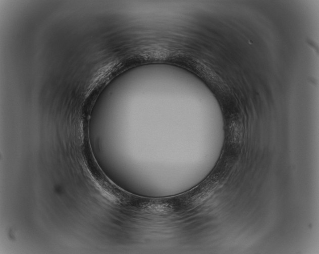 X0000097880638200803281224