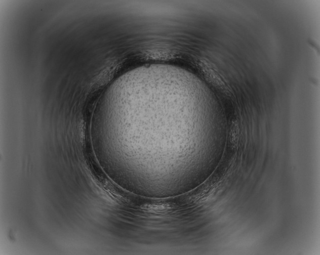 X0000097880639200803281224