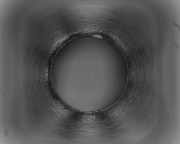 X0000097880640200803281224