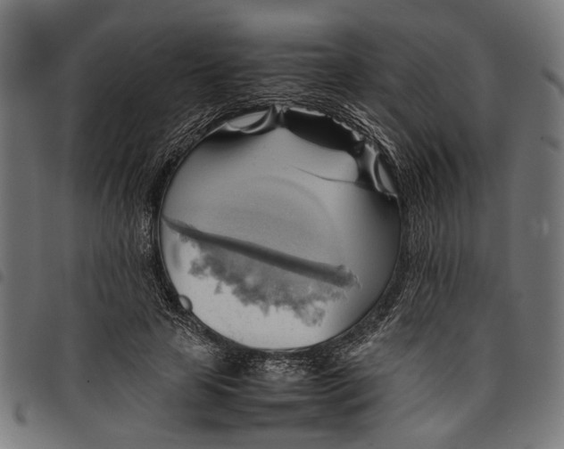 X0000097880641200803281224