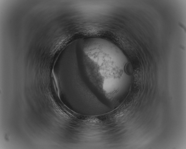 X0000097880642200803281224