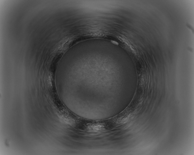 X0000097880643200803281224