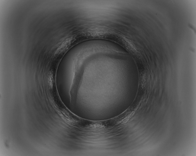 X0000097880644200803281224