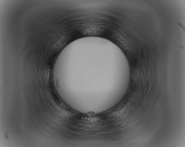 X0000097880645200803281224