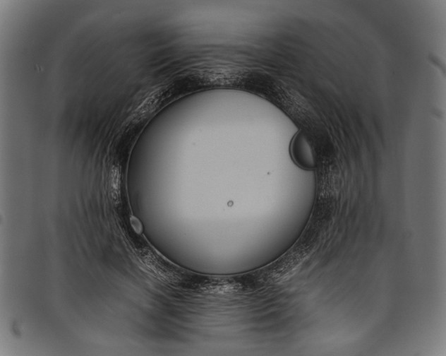 X0000097880646200803281224