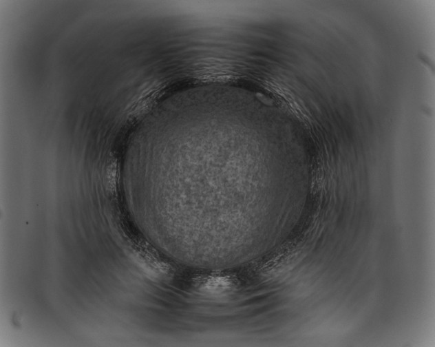 X0000097880647200803281224