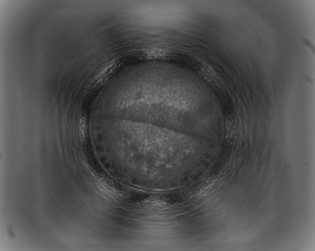 X0000097880648200803281224