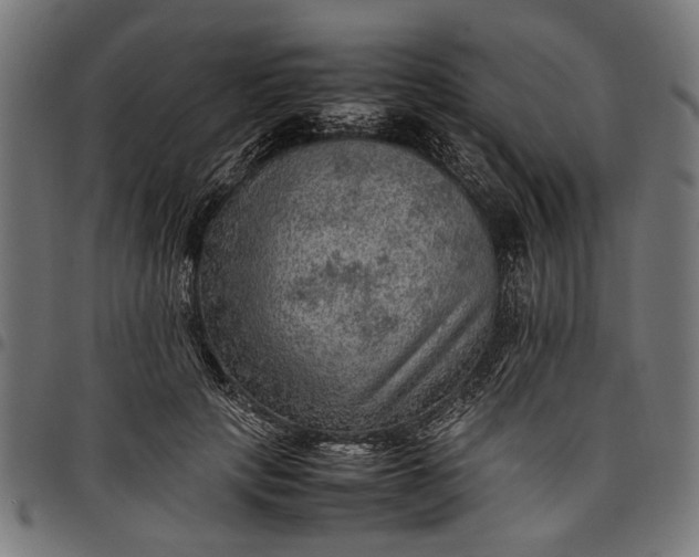 X0000097880649200803281224