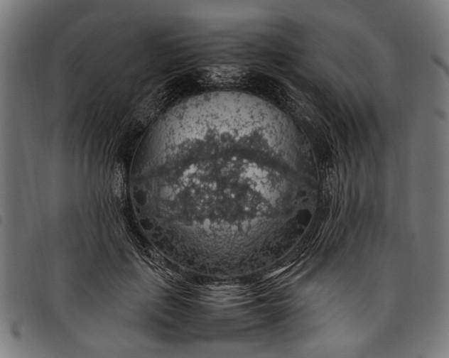 X0000097880651200803281224