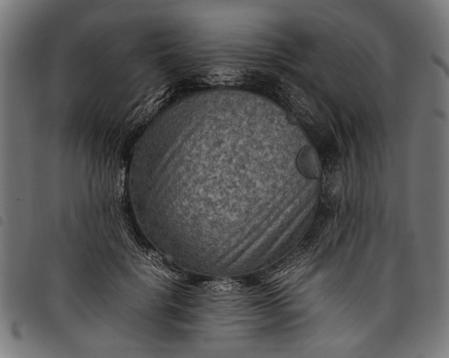 X0000097880652200803281224