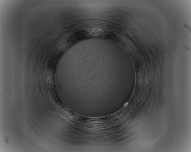 X0000097880653200803281224