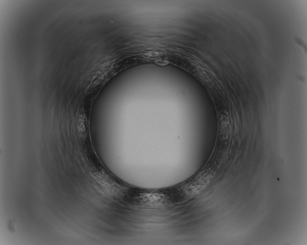 X0000097880654200803281224