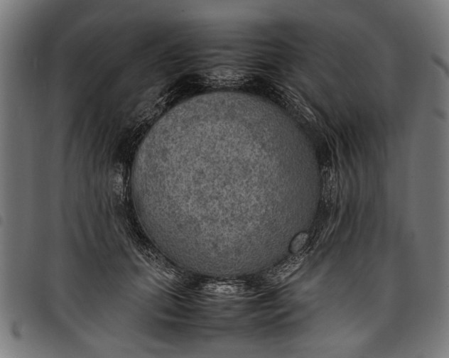 X0000097880655200803281224