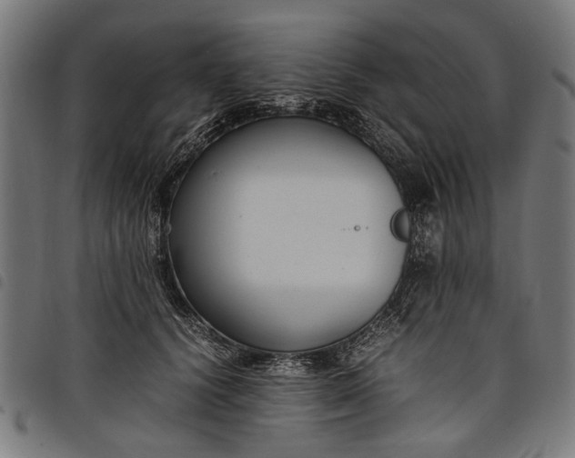 X0000097880656200803281224