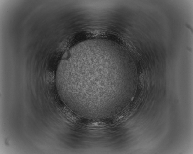 X0000097880657200803281225