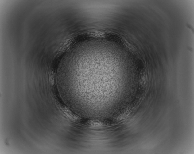 X0000097880658200803281225