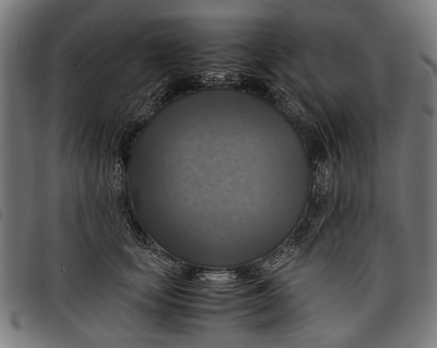 X0000097880659200803281225