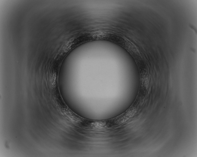 X0000097880660200803281225