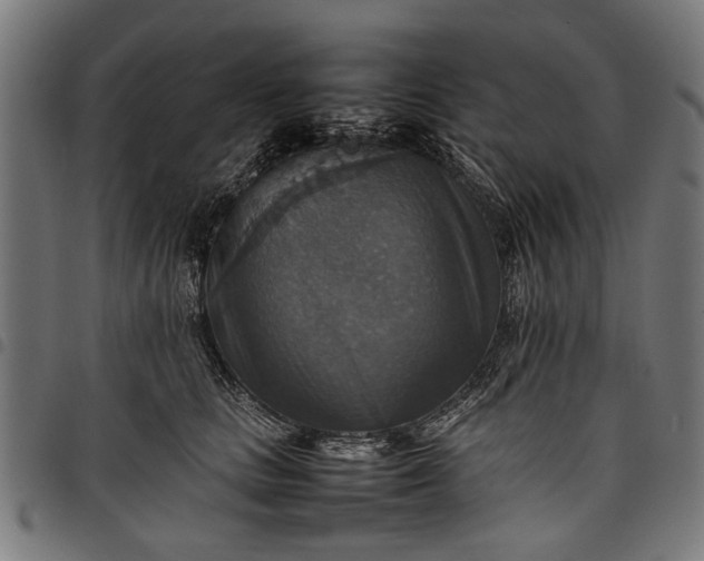 X0000097880661200803281225