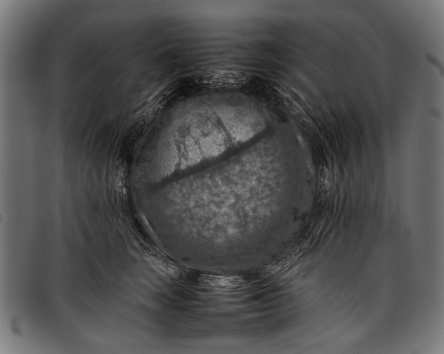 X0000097880663200803281225