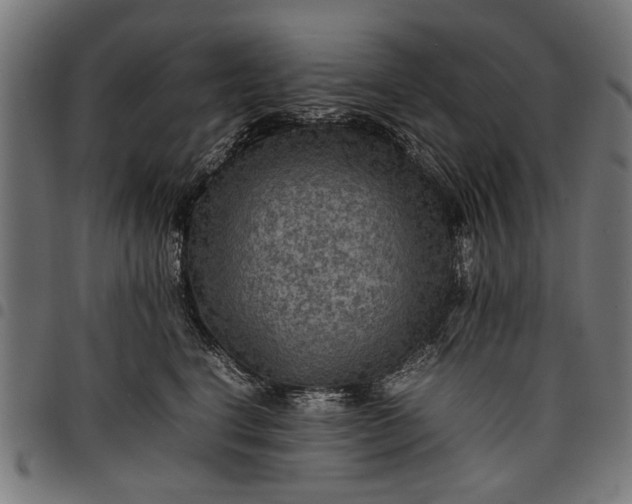 X0000097880664200803281225