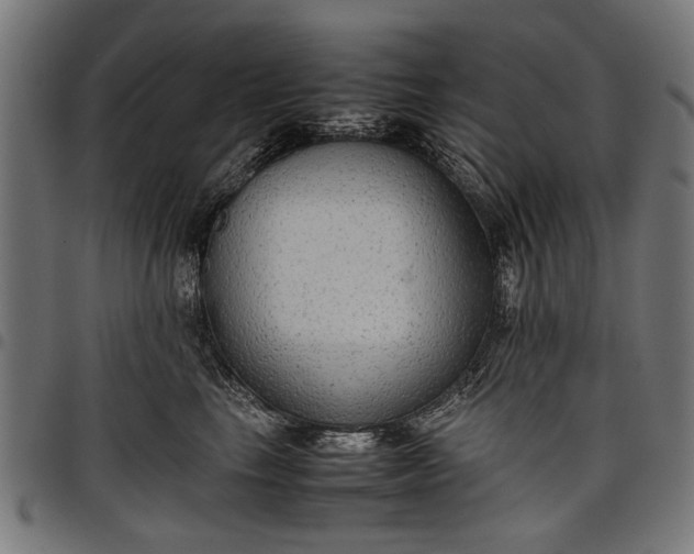 X0000097880665200803281225