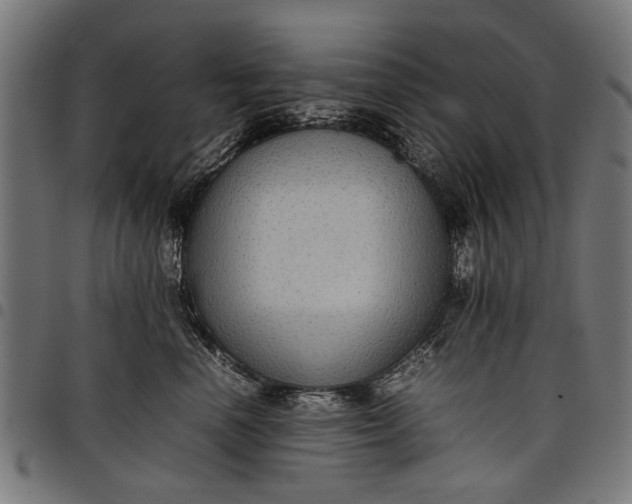 X0000097880666200803281225