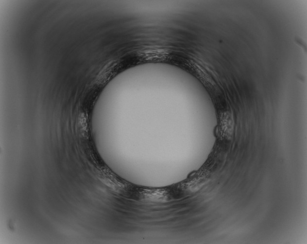 X0000097880667200803281225