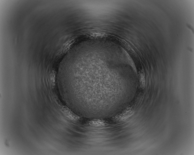 X0000097880668200803281225