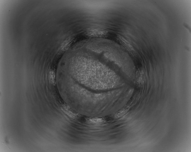 X0000097880669200803281225