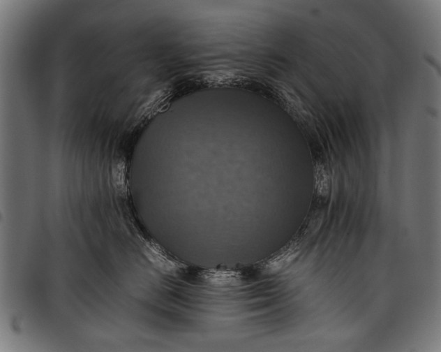 X0000097880670200803281225