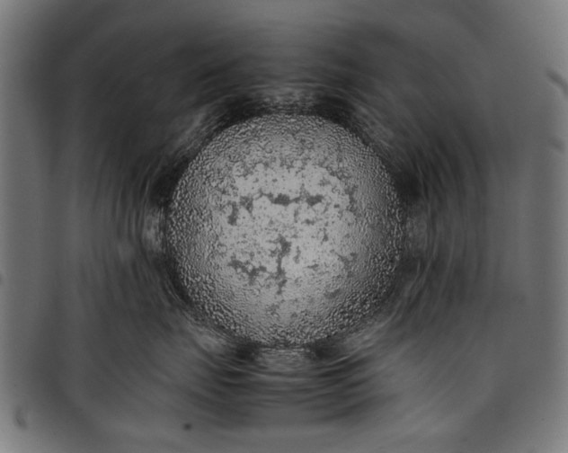 X0000097880671200803281225