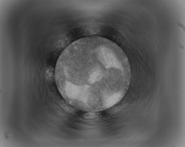 X0000097880672200803281225