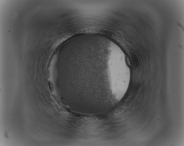 X0000097880673200803281224