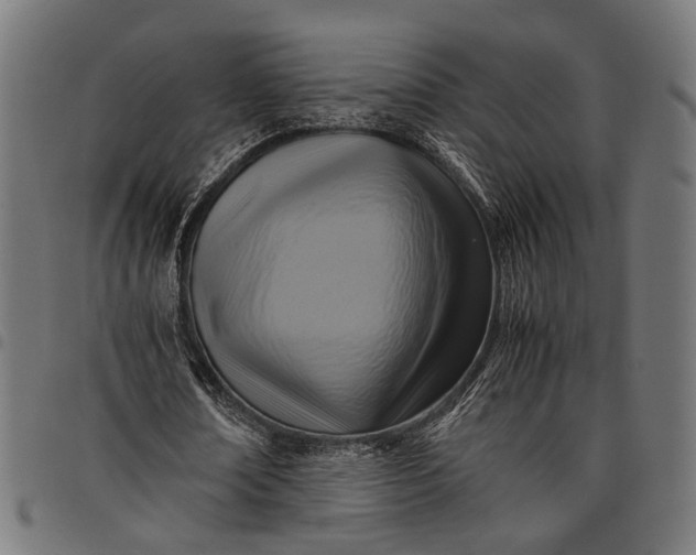 X0000097880674200803281224