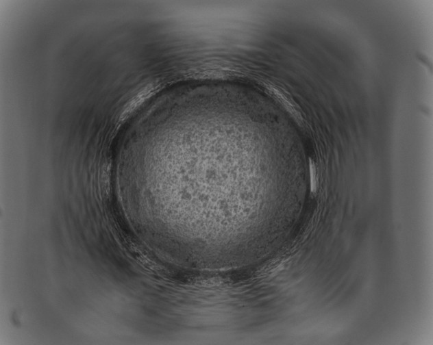 X0000097880675200803281224