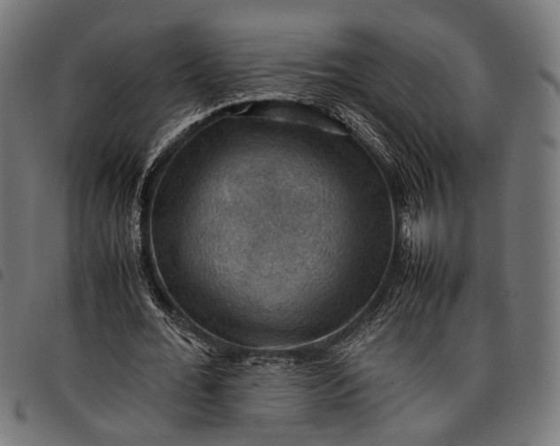 X0000097880676200803281224