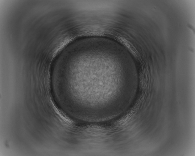 X0000097880677200803281224