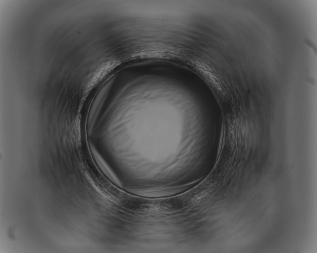 X0000097880678200803281224