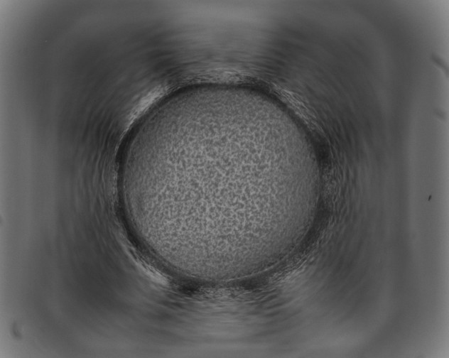 X0000097880679200803281224