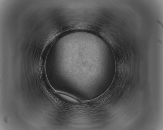 X0000097880680200803281224